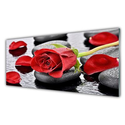 Kitchen Splashback Rose stones floral red grey