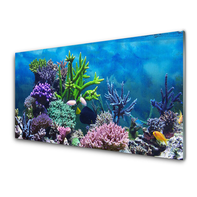 Kitchen Splashback Coral reef nature multi