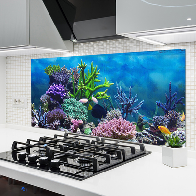 Kitchen Splashback Coral reef nature multi