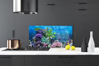 Kitchen Splashback Coral reef nature multi