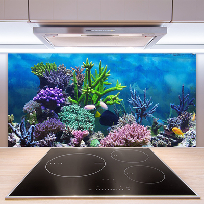 Kitchen Splashback Coral reef nature multi