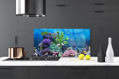 Kitchen Splashback Coral reef nature multi