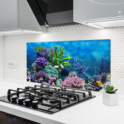 Kitchen Splashback Coral reef nature multi