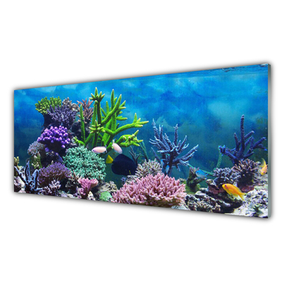 Kitchen Splashback Coral reef nature multi