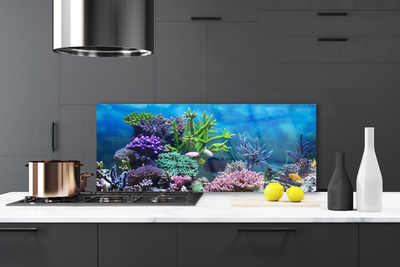 Kitchen Splashback Coral reef nature multi