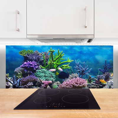 Kitchen Splashback Coral reef nature multi