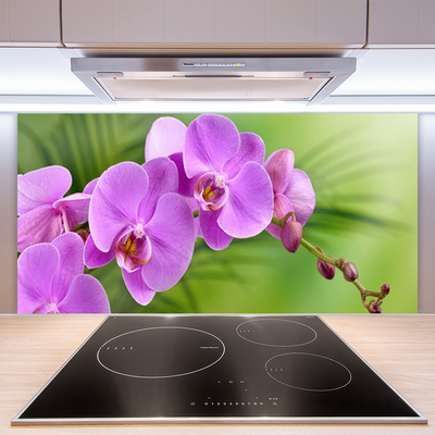 Kitchen Splashback Flowers houses pink