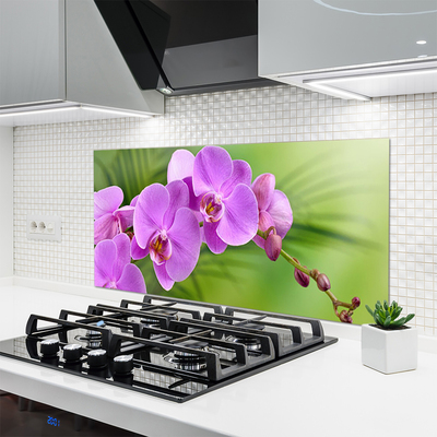 Kitchen Splashback Flowers houses pink