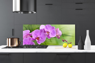 Kitchen Splashback Flowers houses pink