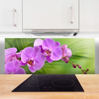 Kitchen Splashback Flowers houses pink