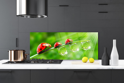 Kitchen Splashback Grass ladybug drops of dew floral green black red