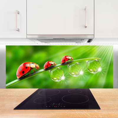 Kitchen Splashback Grass ladybug drops of dew floral green black red