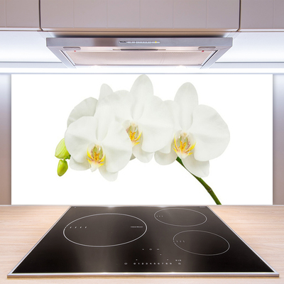 Kitchen Splashback Flowers floral white