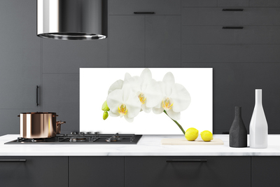 Kitchen Splashback Flowers floral white