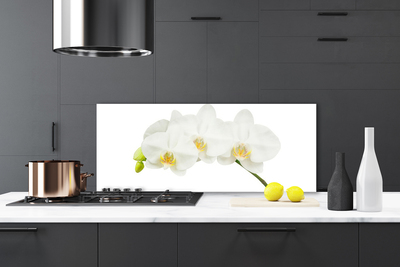 Kitchen Splashback Flowers floral white