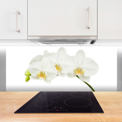 Kitchen Splashback Flowers floral white