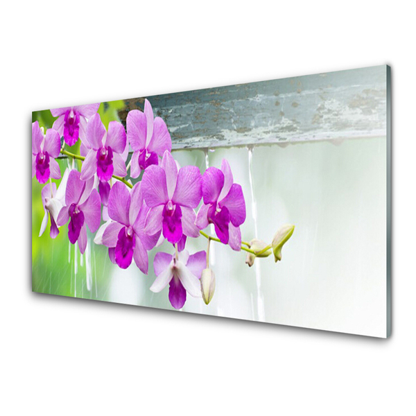 Kitchen Splashback Flowers floral pink