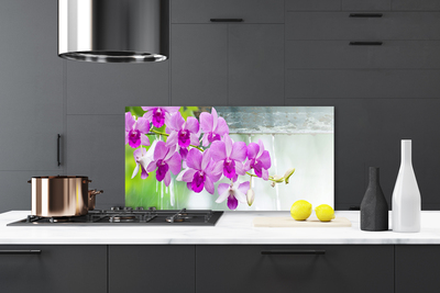 Kitchen Splashback Flowers floral pink