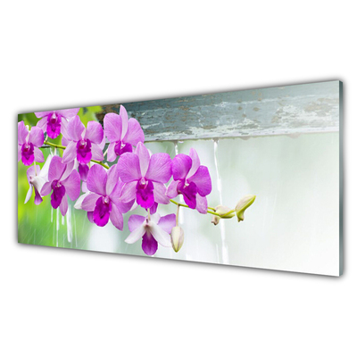 Kitchen Splashback Flowers floral pink