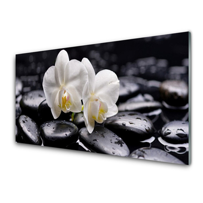 Kitchen Splashback Flower stones art white black