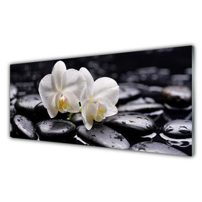 Kitchen Splashback Flower stones art white black