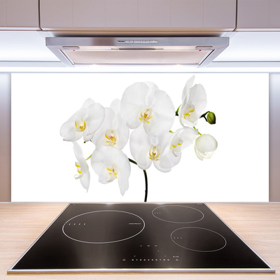 Kitchen Splashback Flowers floral white