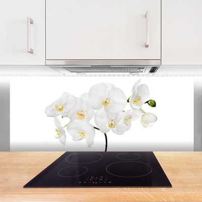 Kitchen Splashback Flowers floral white