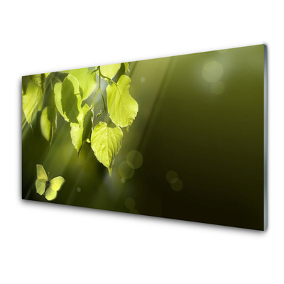 Kitchen Splashback Butterfly leaves nature green