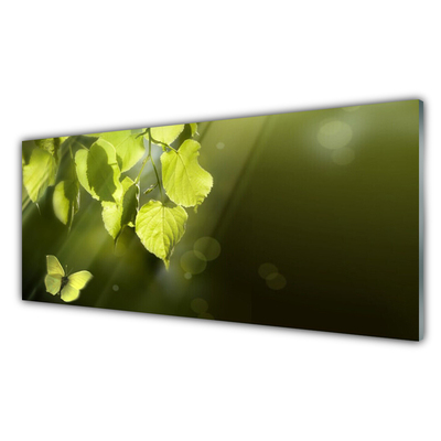 Kitchen Splashback Butterfly leaves nature green