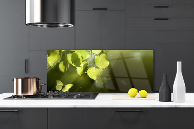 Kitchen Splashback Butterfly leaves nature green