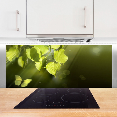 Kitchen Splashback Butterfly leaves nature green