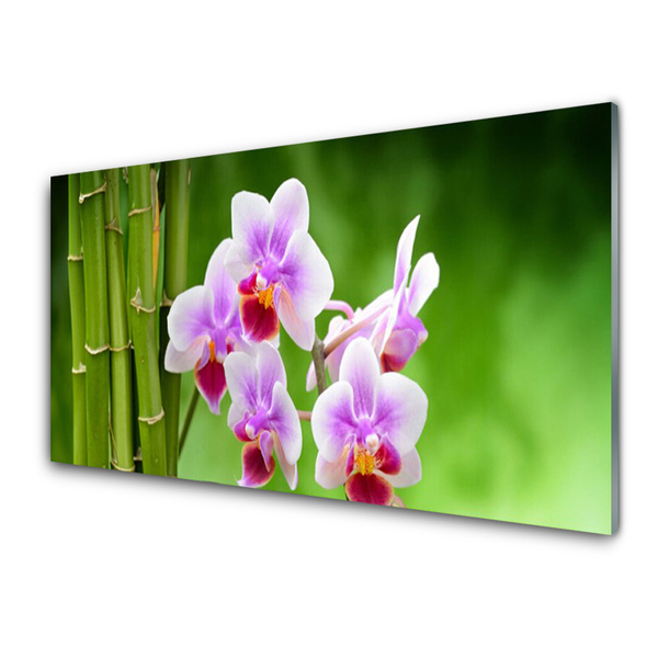 Kitchen Splashback Bamboo tube flowers floral green pink