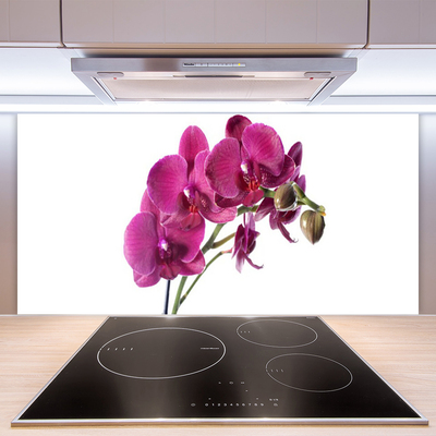 Kitchen Splashback Flowers floral red