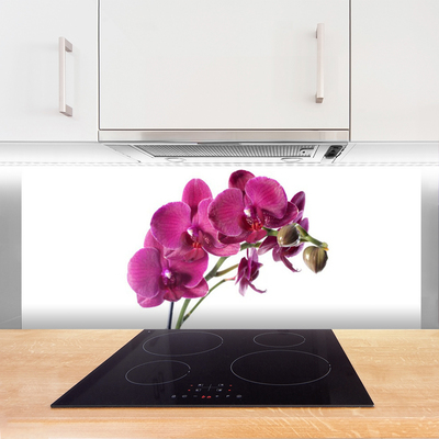 Kitchen Splashback Flowers floral red