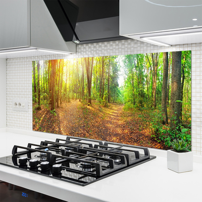 Kitchen Splashback Forest nature brown green