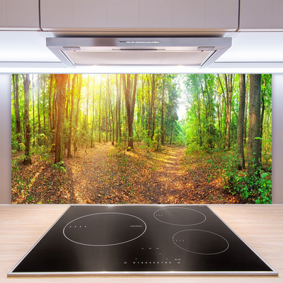 Kitchen Splashback Forest nature brown green