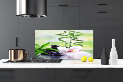 Kitchen Splashback Bamboo stalks flower stones floral green white black