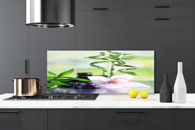 Kitchen Splashback Bamboo stalks flower stones floral green white black