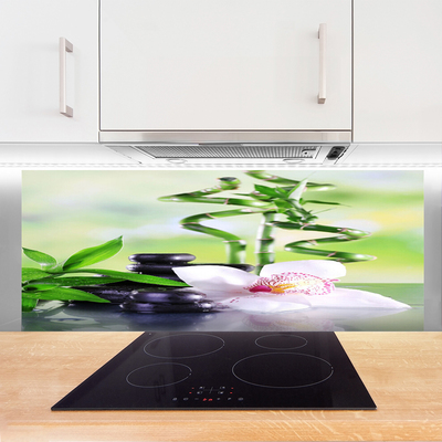 Kitchen Splashback Bamboo stalks flower stones floral green white black