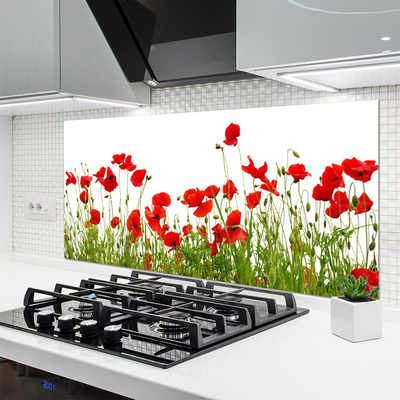 Kitchen Splashback Meadow poppies nature green red