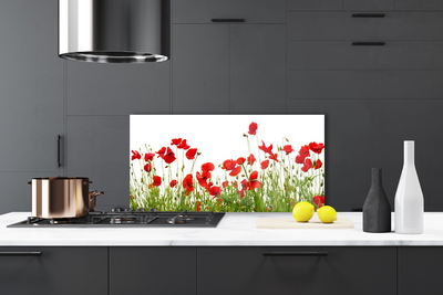 Kitchen Splashback Meadow poppies nature green red