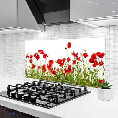 Kitchen Splashback Meadow poppies nature green red