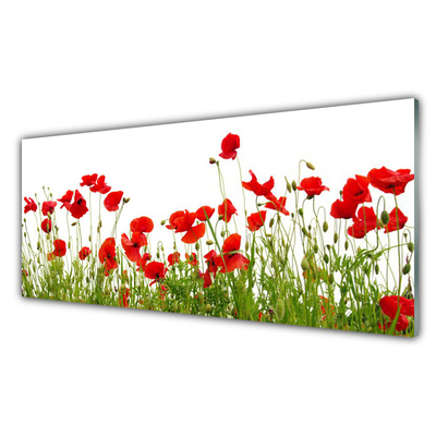 Kitchen Splashback Meadow poppies nature green red