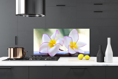 Kitchen Splashback Flowers floral green pink