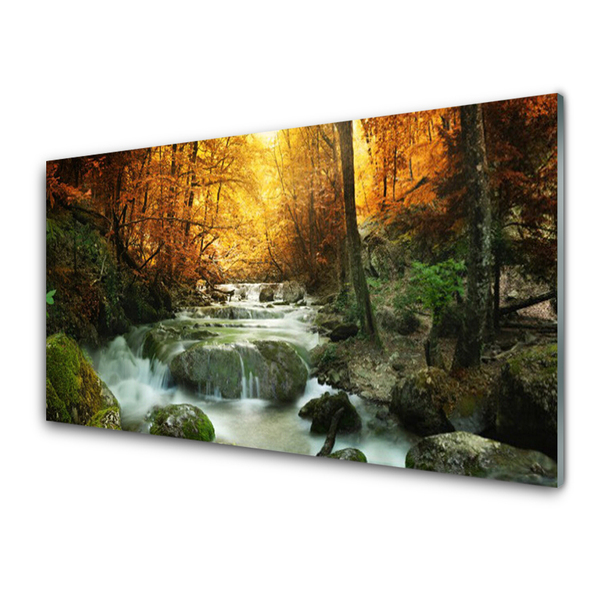 Kitchen Splashback Waterfall forest stones nature brown yellow grey white