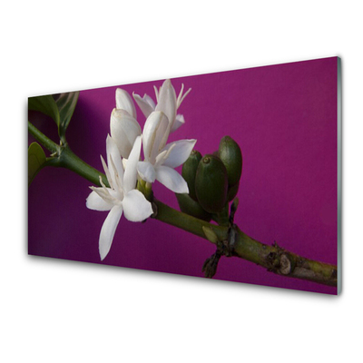 Kitchen Splashback Flower stalks floral white green