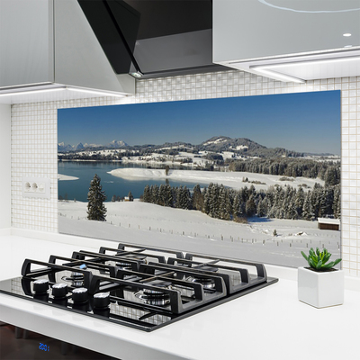 Kitchen Splashback Snow lake forest landscape blue white green