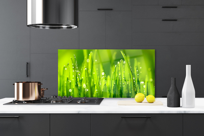 Kitchen Splashback Weed nature green