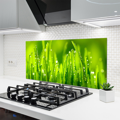 Kitchen Splashback Weed nature green