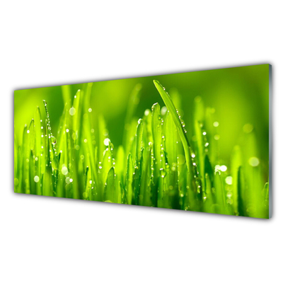 Kitchen Splashback Weed nature green